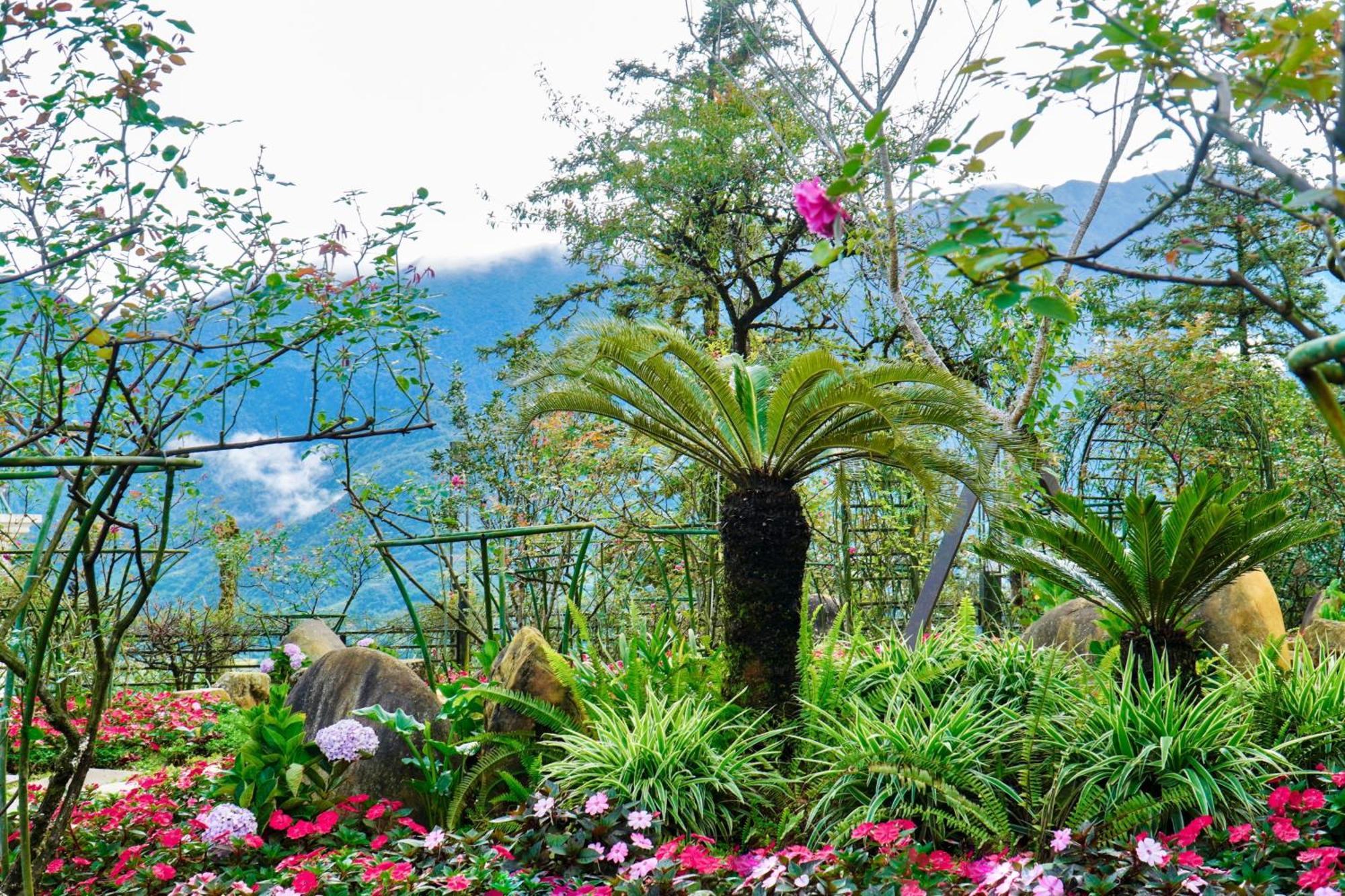 Sapa Highland Resort & Spa מראה חיצוני תמונה