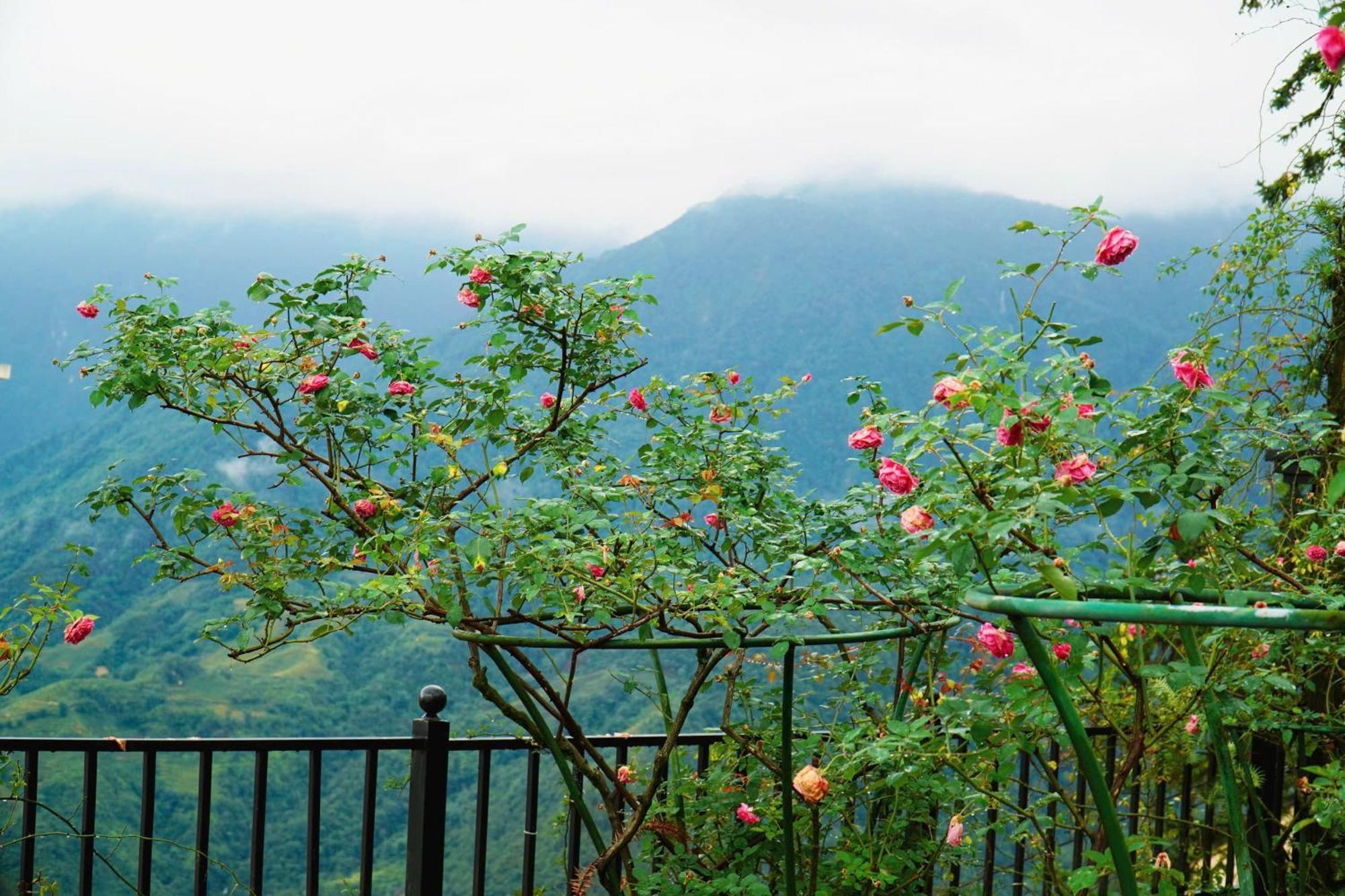 Sapa Highland Resort & Spa מראה חיצוני תמונה
